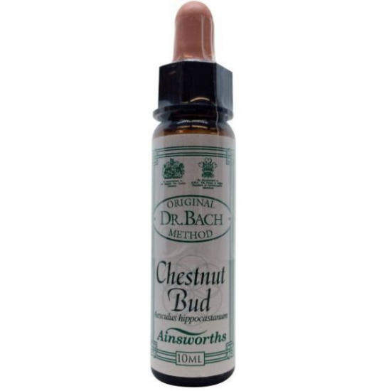 Ainsworths Bach Chestnut Bud 10ml