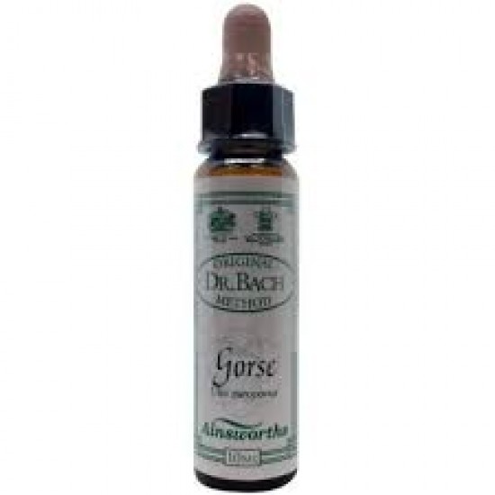 Ainsworths Bach Gorse 10ml