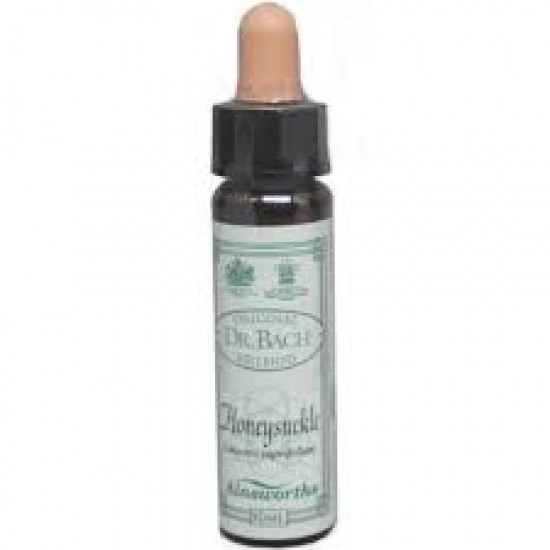 Ainsworths Bach Honeysuckle 10ml