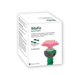 EPSILON HEALTH SILYFIX 60 CAPSULES