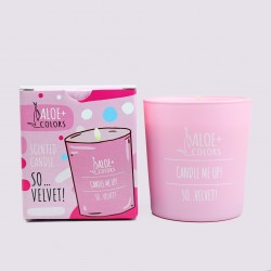 ALOE+COLORS SCENTED CANDLE SO VELVET